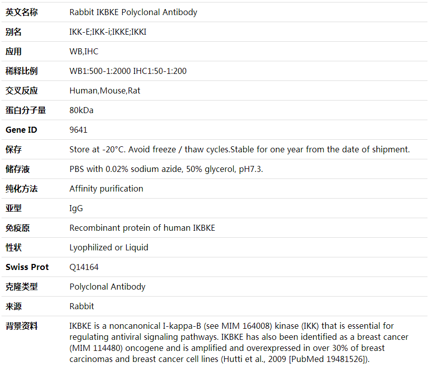 Anti-IKBKE Polyclonal Antibody,索莱宝,K001622P-50ul