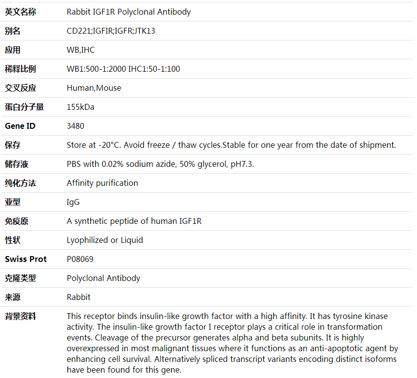 Anti-IGF1R Polyclonal Antibody,索莱宝,K001621P-50ul