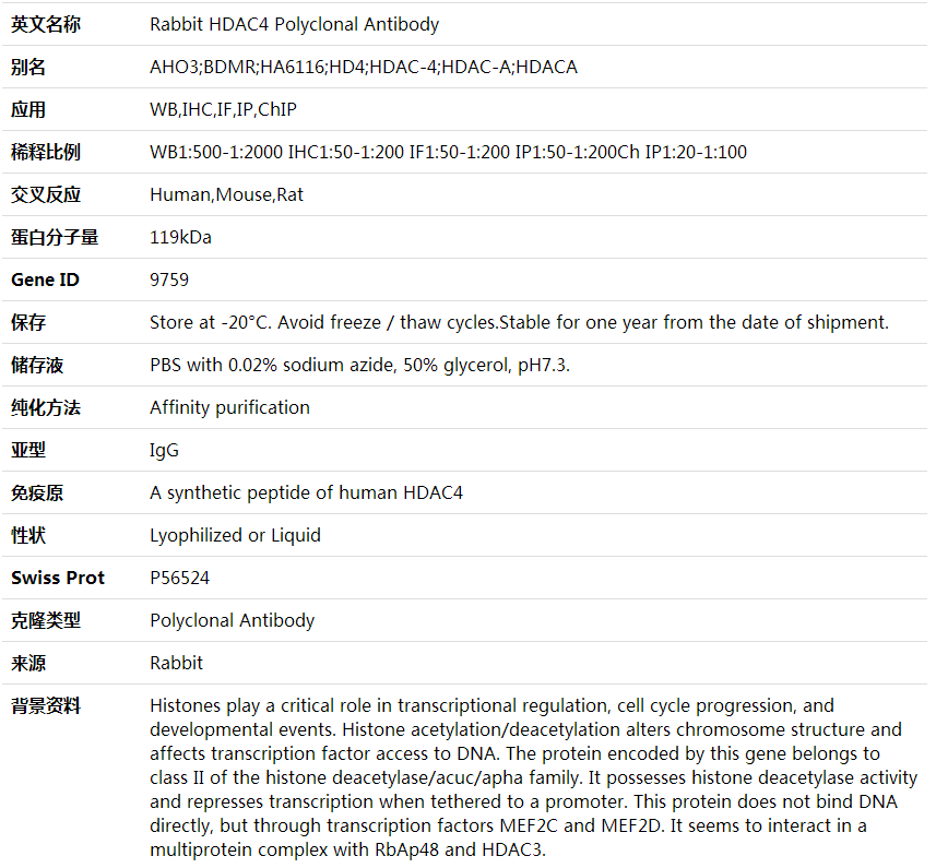 Anti-HDAC4 Polyclonal Antibody,索莱宝,K001618P-30ul