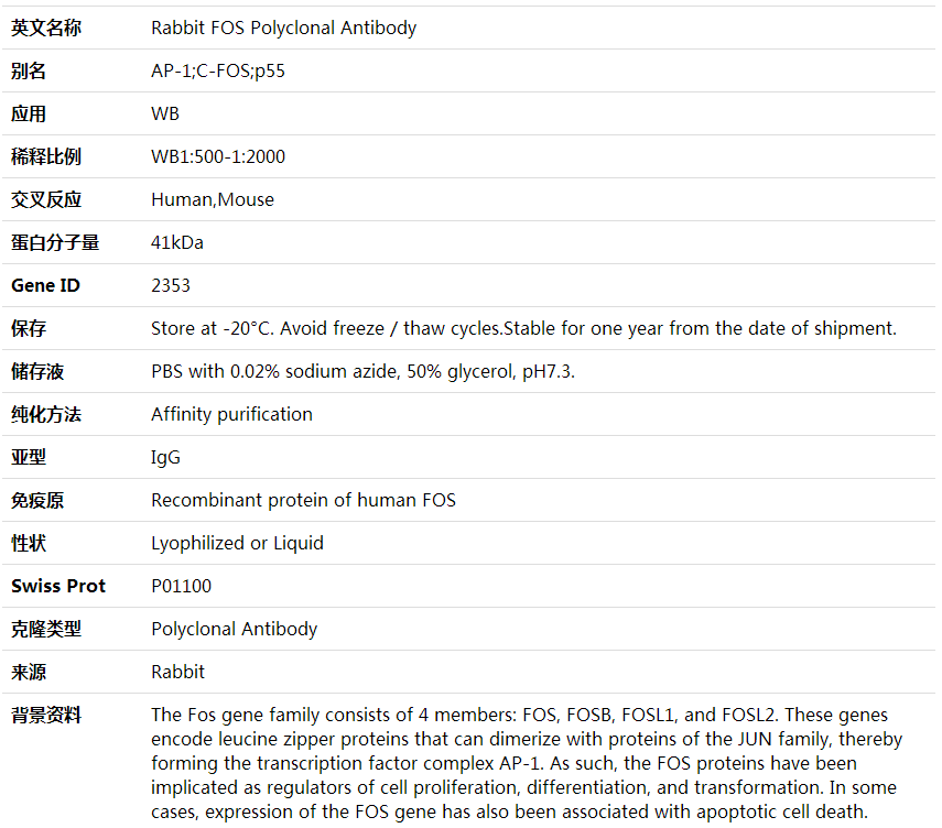 Anti-FOS Polyclonal Antibody,索莱宝,K001615P-50ul