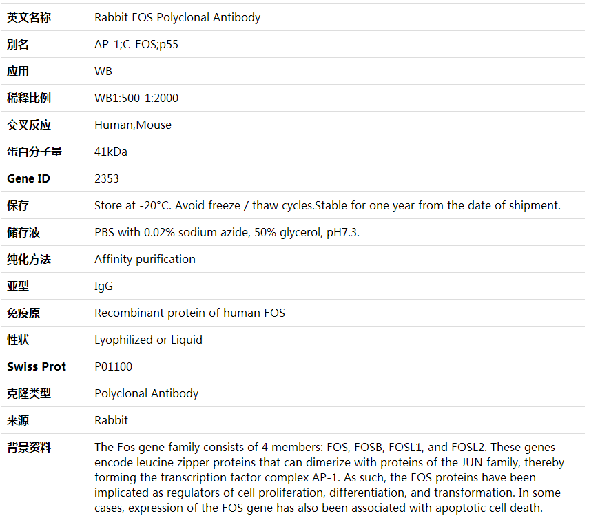 Anti-FOS Polyclonal Antibody,索莱宝,K001615P-100ul