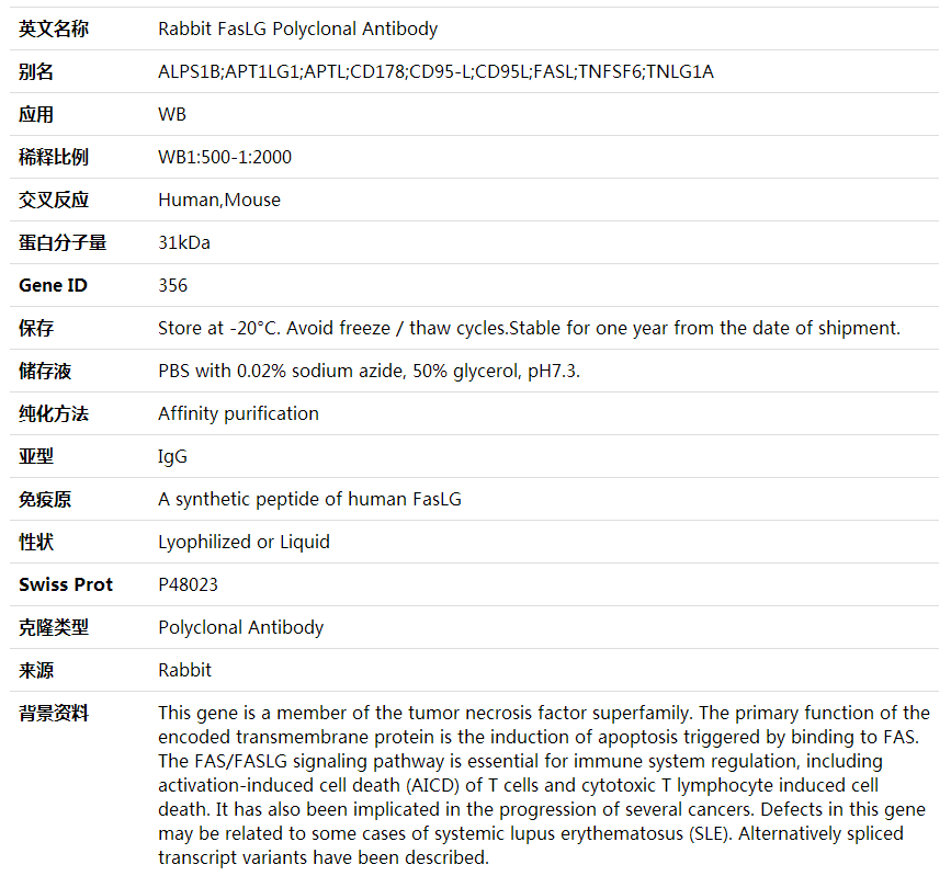 Anti-FasLG Polyclonal Antibody,索莱宝,K001613P-30ul