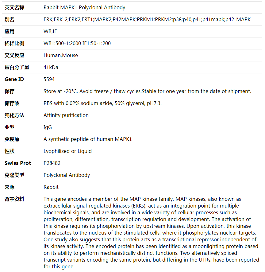 Anti-MAPK1 Polyclonal Antibody,索莱宝,K001612P-100ul