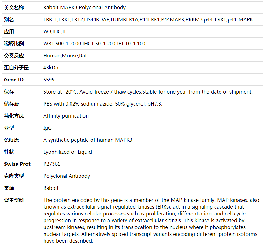Anti-MAPK3 Polyclonal Antibody,索莱宝,K001611P-100ul