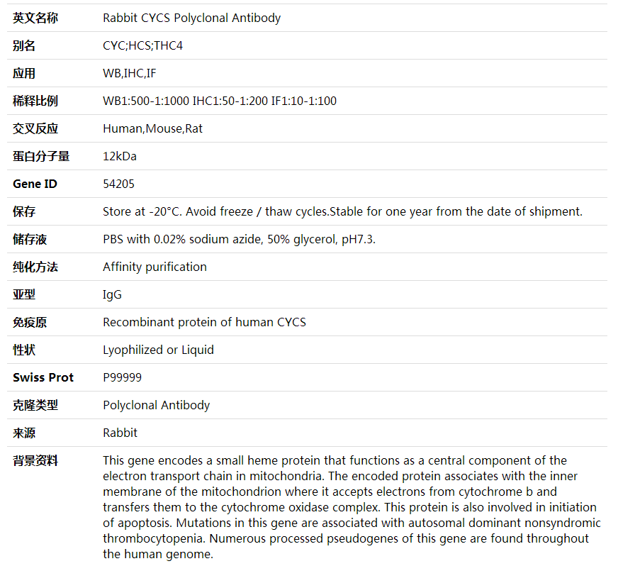 Anti-CYCS Polyclonal Antibody,索莱宝,K001608P-100ul