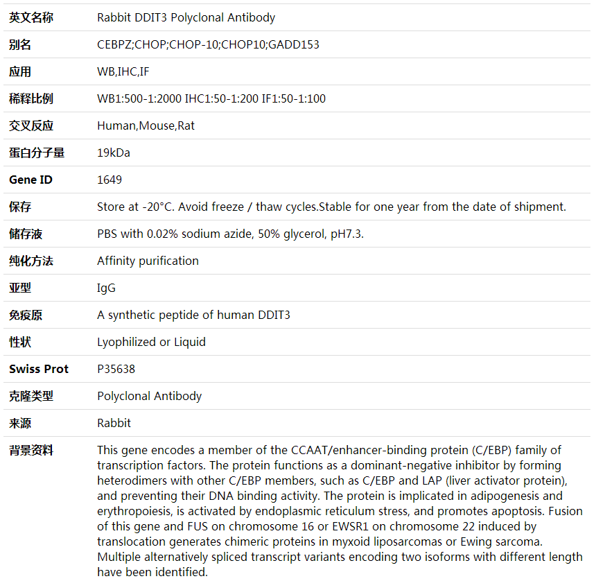 Anti-DDIT3 Polyclonal Antibody,索莱宝,K001606P-50ul