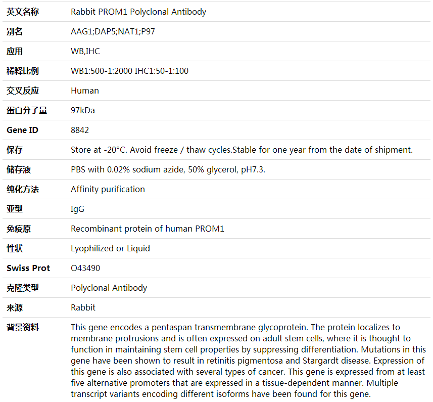 Anti-PROM1 Polyclonal Antibody,索莱宝,K001604P-50ul