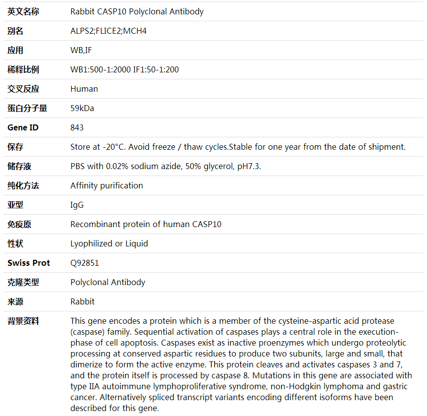 Anti-CASP10 Polyclonal Antibody,索莱宝,K001601P-50ul
