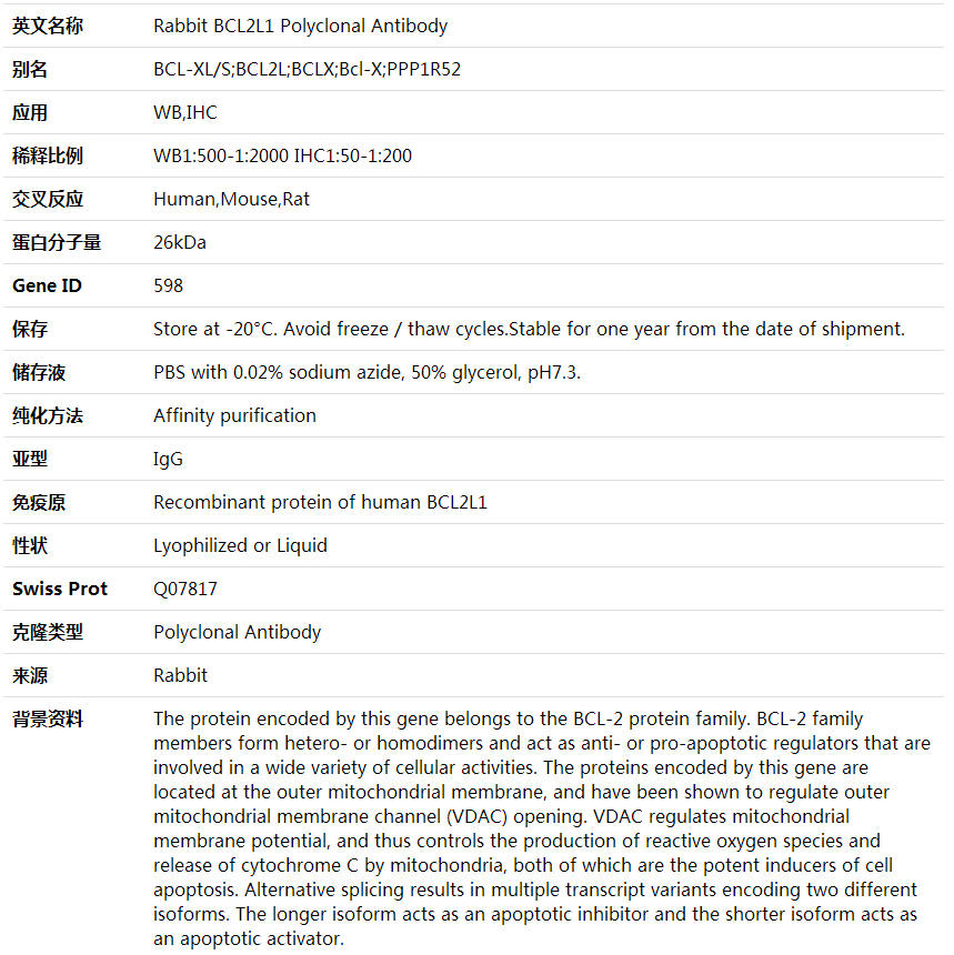 Anti-BCL2L1 Polyclonal Antibody,索莱宝,K001595P-100ul