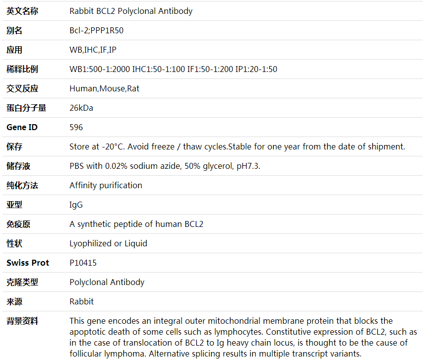 Anti-BCL2 Polyclonal Antibody,索莱宝,K001594P-30ul