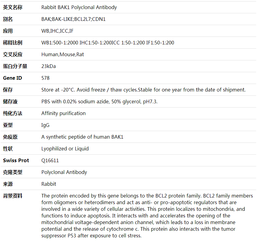 Anti-BAK1 Polyclonal Antibody,索莱宝,K001591P-100ul