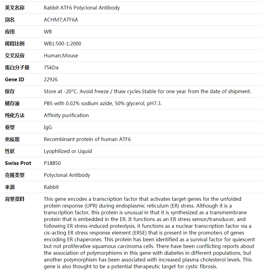 Anti-ATF6 Polyclonal Antibody,索莱宝,K001590P-100ul