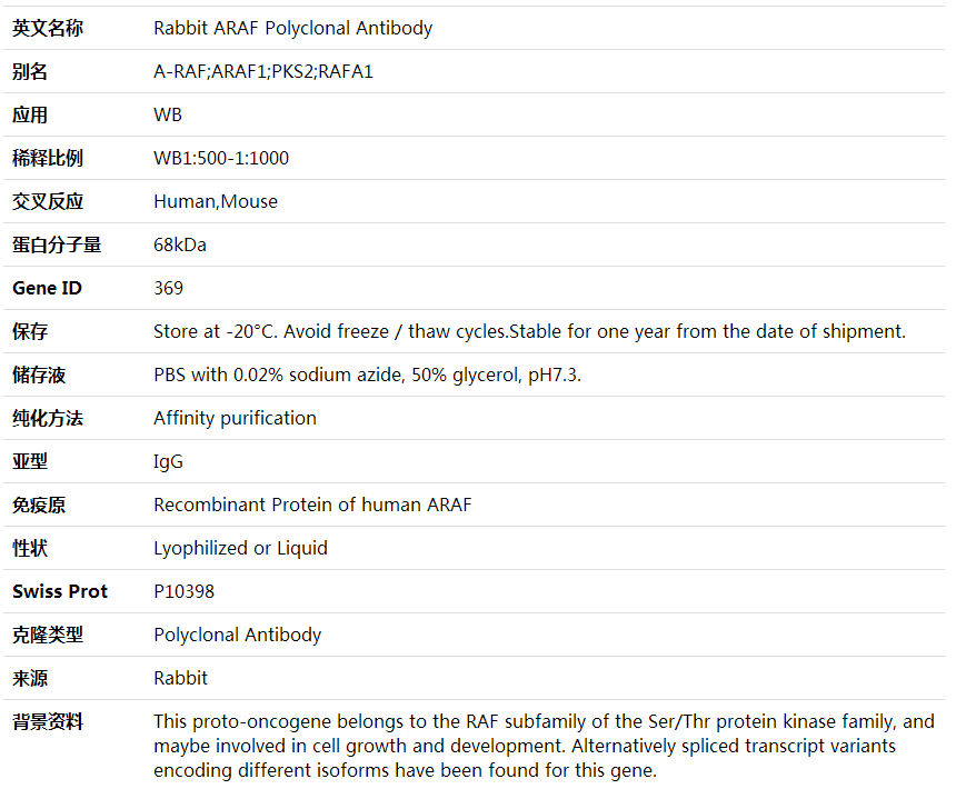 Anti-ARAF Polyclonal Antibody,索莱宝,K001585P-50ul