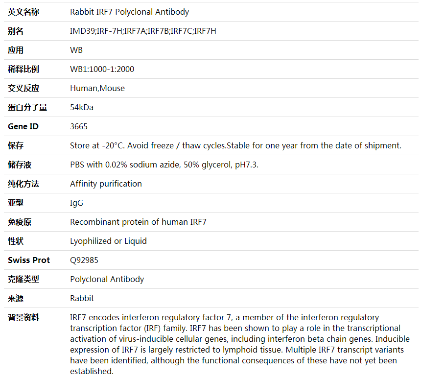 Anti-IRF7 Polyclonal Antibody,索莱宝,K001582P-100ul