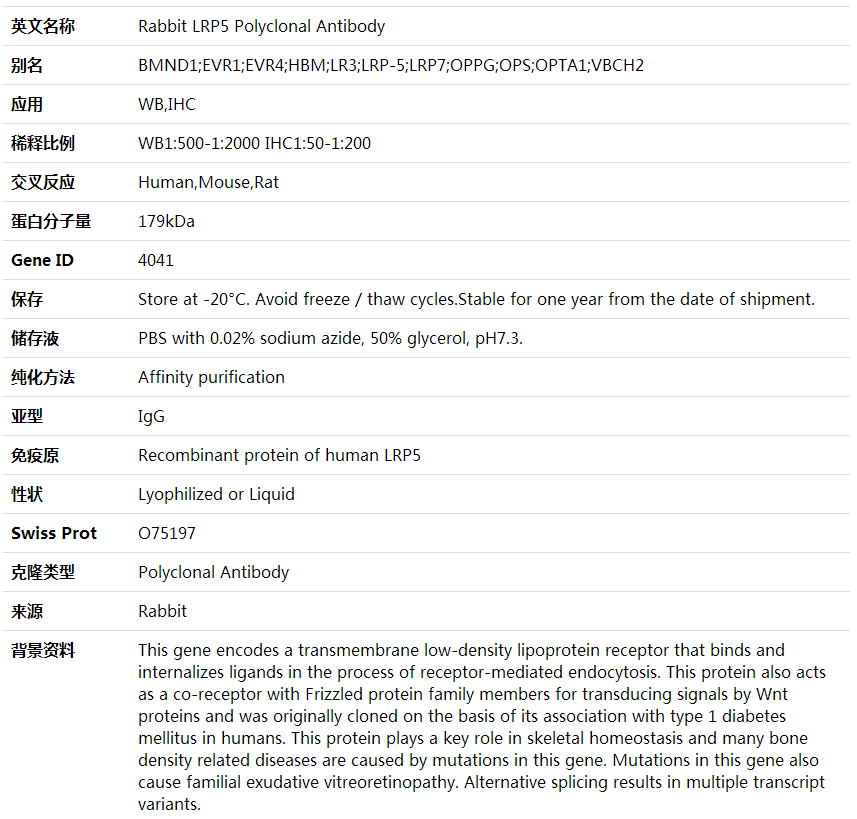 Anti-LRP5 Polyclonal Antibody,索莱宝,K001578P-50ul