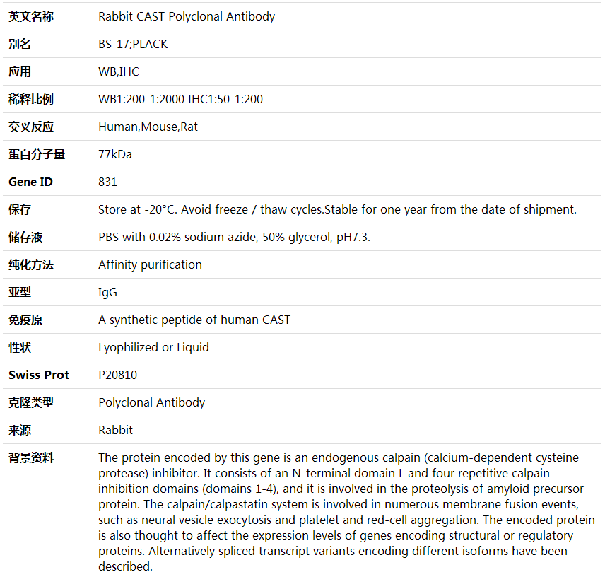 Anti-CAST Polyclonal Antibody,索莱宝,K001575P-50ul
