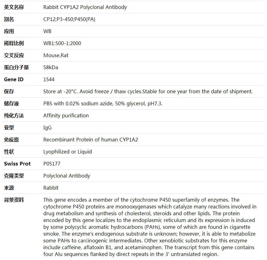 Anti-CYP1A2 Polyclonal Antibody,索莱宝,K001572P-50ul