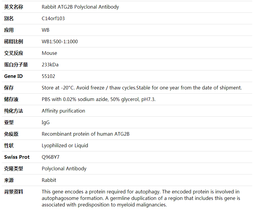 Anti-ATG2B Polyclonal Antibody,索莱宝,K000461P-100ul