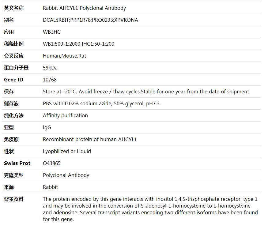 Anti-AHCYL1 Polyclonal Antibody,索莱宝,K000453P-50ul