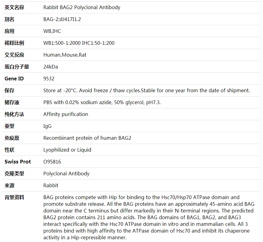 Anti-BAG2 Polyclonal Antibody,索莱宝,K000452P-100ul