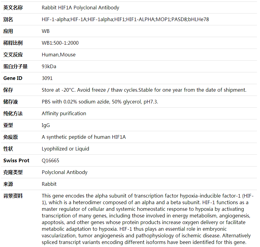 Anti-HIF1A Polyclonal Antibody,索莱宝,K000450P-30ul