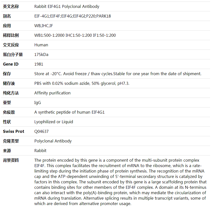 Anti-EIF4G1 Polyclonal Antibody,索莱宝,K000447P-100ul