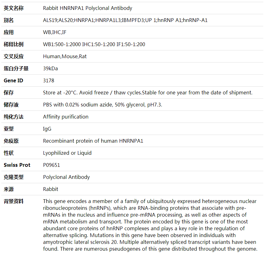 Anti-HNRNPA1 Polyclonal Antibody,索莱宝,K000445P-50ul