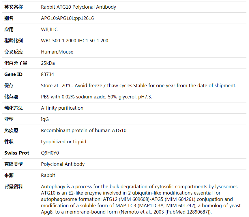 Anti-ATG10 Polyclonal Antibody,索莱宝,K000439P-50ul