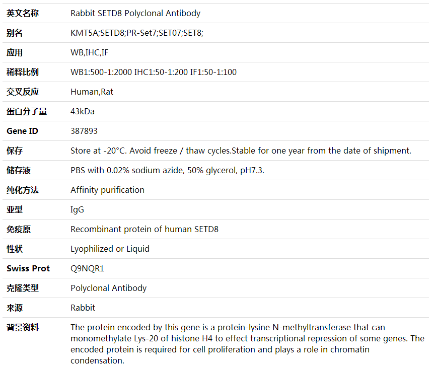 Anti-SETD8 Polyclonal Antibody,索莱宝,K000438P-30ul