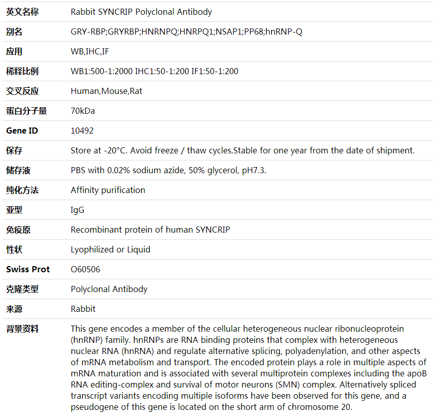 Anti-SYNCRIP Polyclonal Antibody,索莱宝,K000436P-50ul