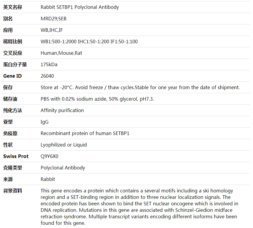 Anti-SETBP1 Polyclonal Antibody,索莱宝,K000435P-50ul
