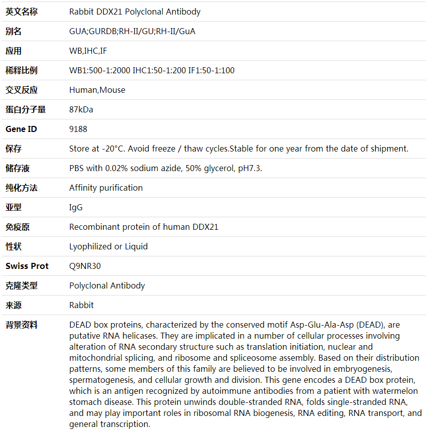 Anti-DDX21 Polyclonal Antibody,索莱宝,K000433P-100ul