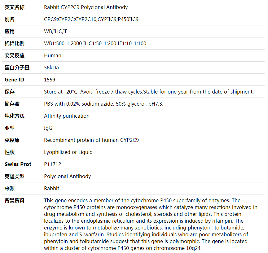 Anti-CYP2C9 Polyclonal Antibody,索莱宝,K000424P-50ul