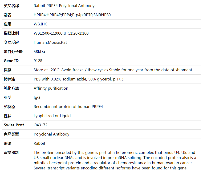 Anti-PRPF4 Polyclonal Antibody,索莱宝,K000412P-100ul