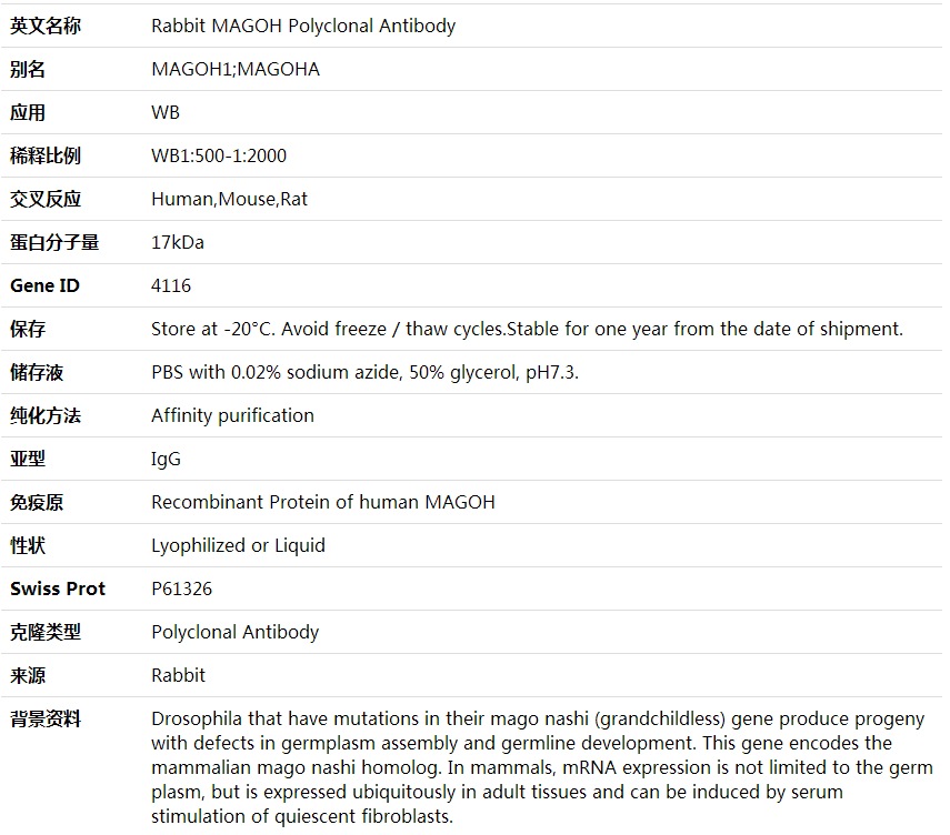 Anti-MAGOH Polyclonal Antibody,索莱宝,K000409P-100ul