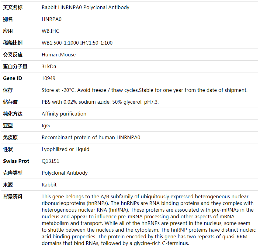 Anti-HNRNPA0 Polyclonal Antibody,索莱宝,K000408P-100ul