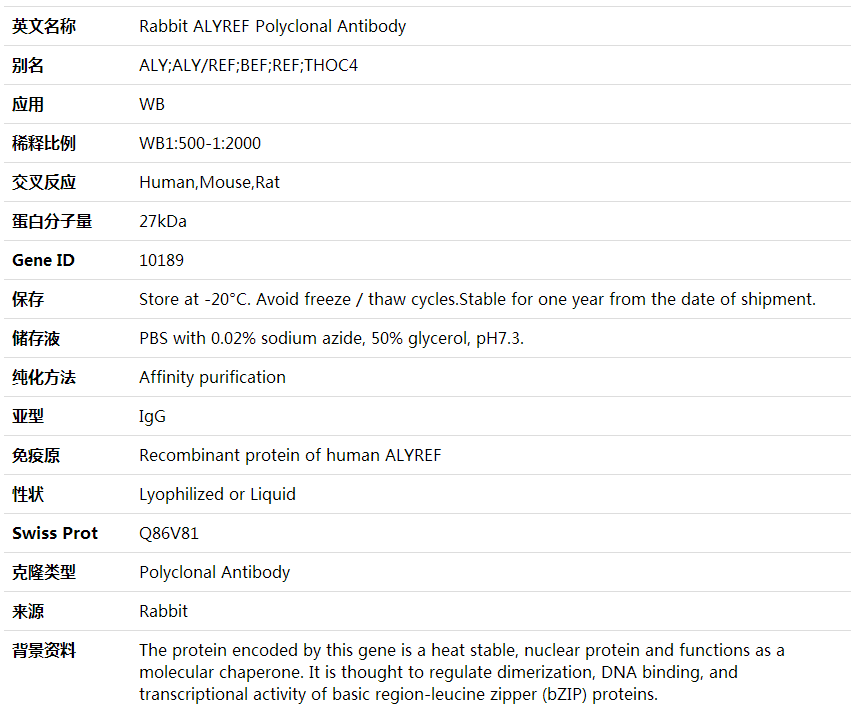 Anti-ALYREF Polyclonal Antibody,索莱宝,K000406P-100ul