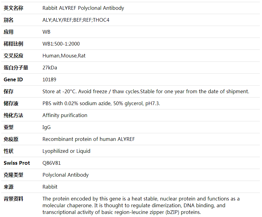 Anti-ALYREF Polyclonal Antibody,索莱宝,K000406P-50ul