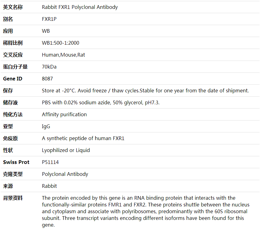 Anti-FXR1 Polyclonal Antibody,索莱宝,K000404P-100ul