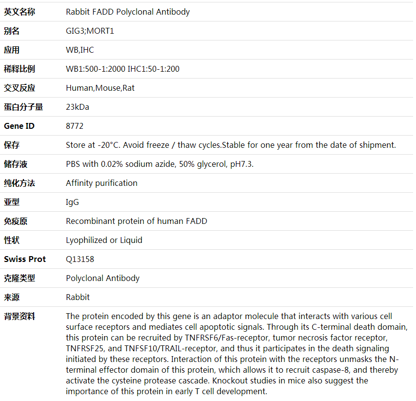 Anti-FADD Polyclonal Antibody,索莱宝,K000401P-30ul
