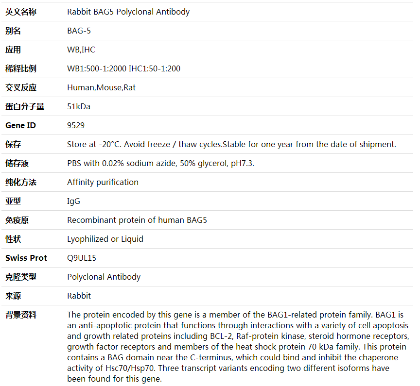 Anti-BAG5 Polyclonal Antibody,索莱宝,K000399P-100ul