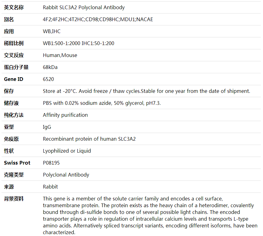 Anti-SLC3A2 Polyclonal Antibody,索莱宝,K000397P-100ul
