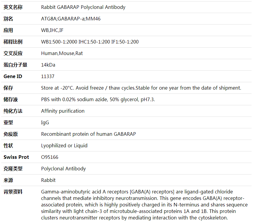 GABARAP Antibo,索莱宝,K000395P-50ul