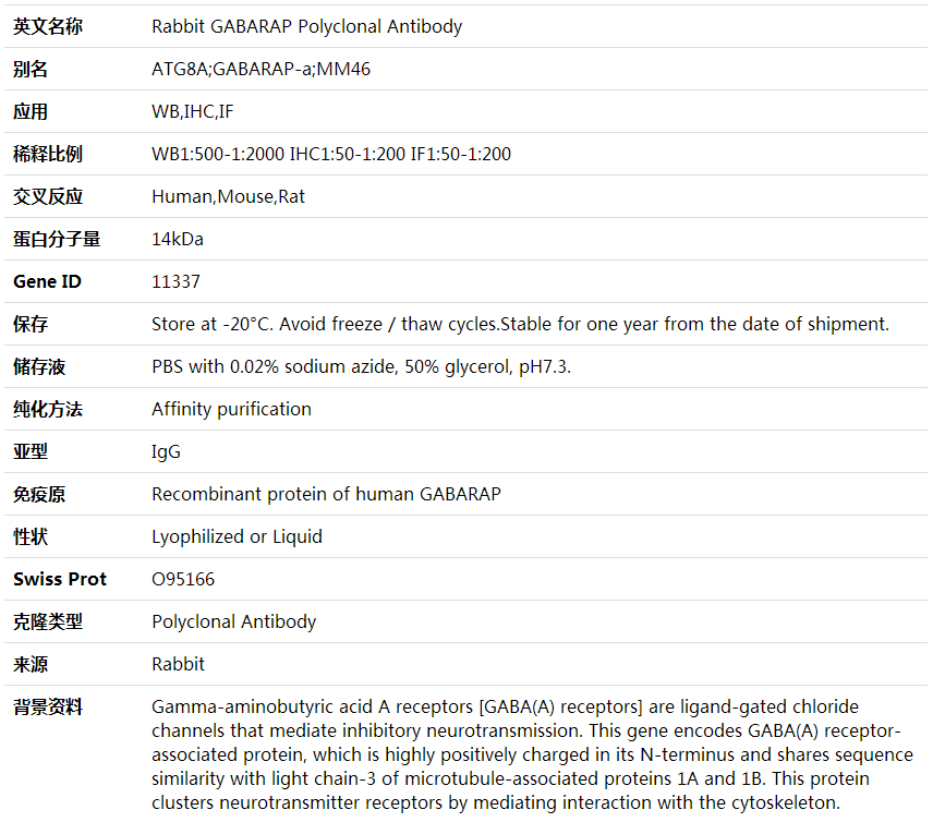 GABARAP Antibo,索莱宝,K000395P-100ul