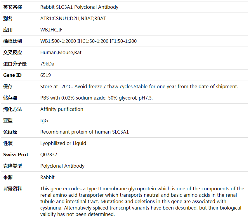 Anti-SLC3A1 Polyclonal Antibod,索莱宝,K000393P-100ul