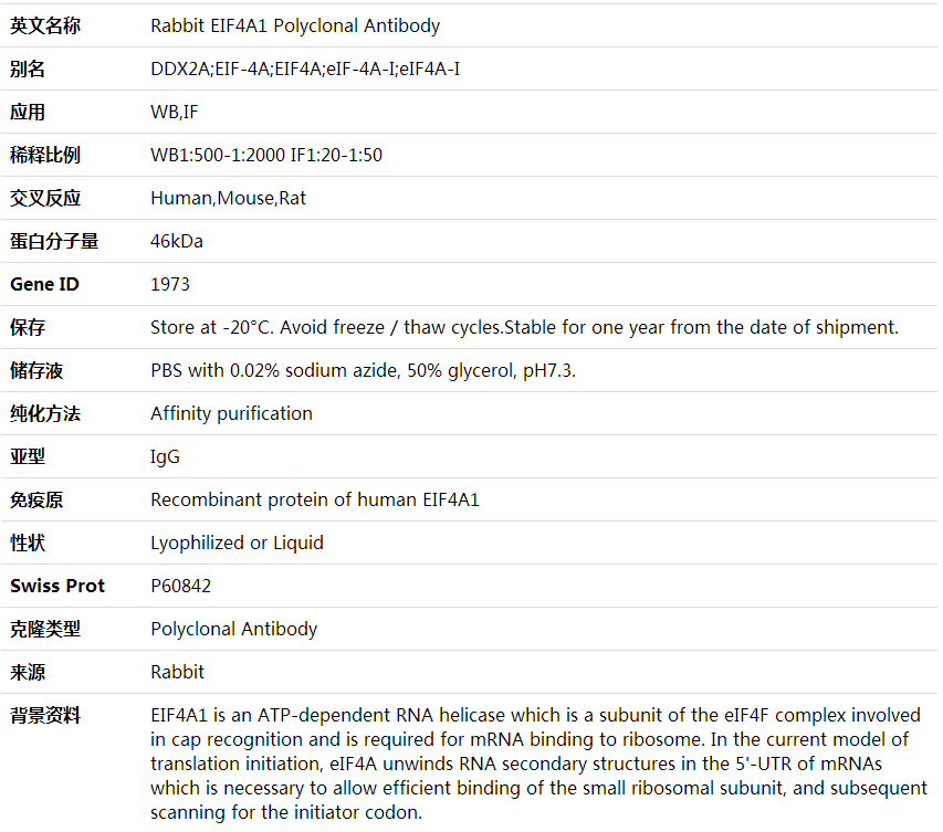 Anti-EIF4A1 Polyclonal Antibody,索莱宝,K000388P-100ul