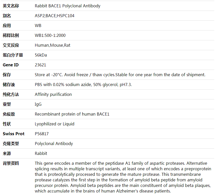 Anti-BACE1 Polyclonal Antibody,索莱宝,K000384P-100ul