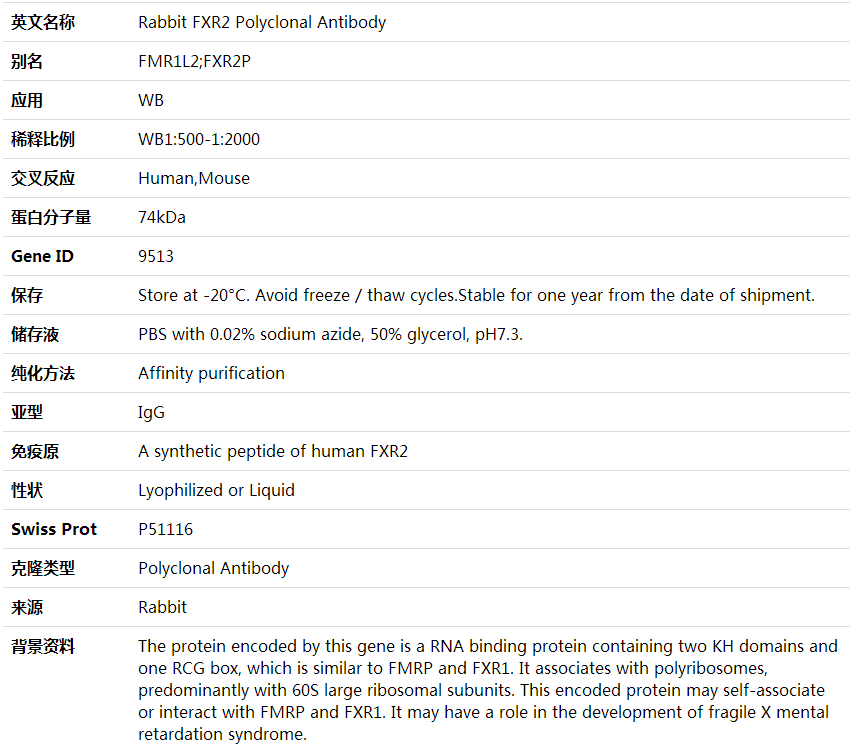 Anti-FXR2 Polyclonal Antibody,索莱宝,K000382P-100ul