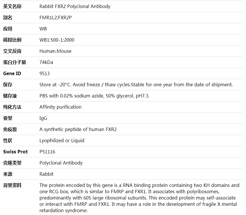 Anti-FXR2 Polyclonal Antibody,索莱宝,K000382P-50ul