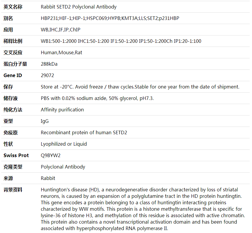 Anti-SETD2 Polyclonal Antibody,索莱宝,K000379P-100ul